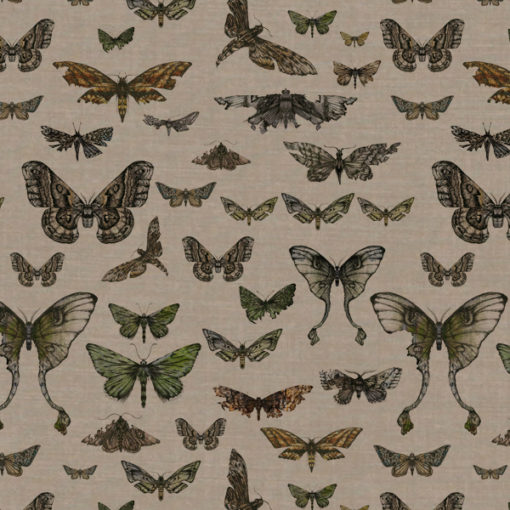 Entomologie-Moth-Drawer_Natural-linen-blend_Original.jpg