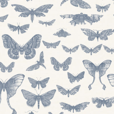 Entomologie-Moth-Drawer_Oyster-linen-blend_Ink.jpg