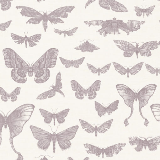 Entomologie-Moth-Drawer_Oyster-linen-blend_Rose.jpg