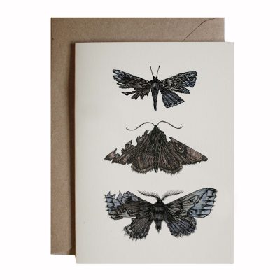 trio of moths