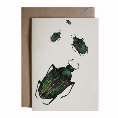 beetle card